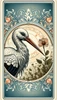Storch